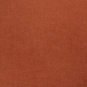 Burn orange 