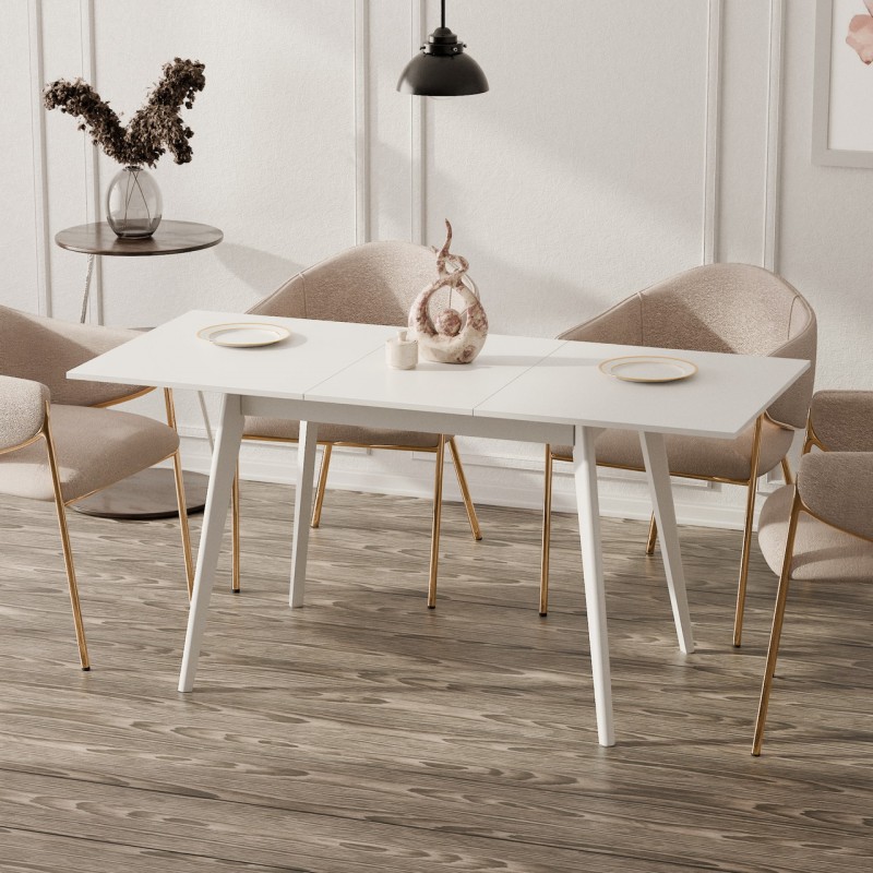 Розкладний стіл Неман БОН 1180х680 Білий/Білий