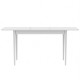 Розсувний стіл Неман МОНО прямокутний Білий/Білий