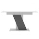 Стіл розсувний Неман ТЕЧ Білий/Графіт