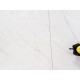 Стіл CANYON CERAMIC білий мармур / чорний мат 160(220)x90 Signal