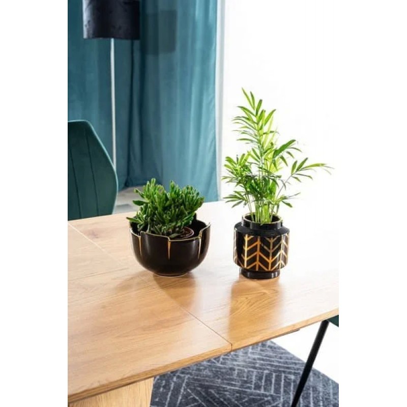 Стіл HOUSTON дуб 120(160)X80 Signal