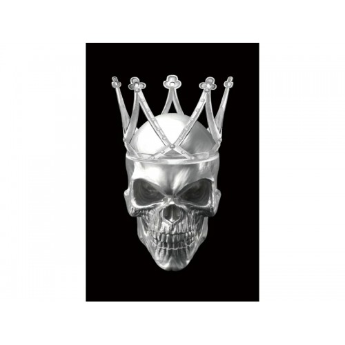 Картина на склі SKULL II 80X120 Signal