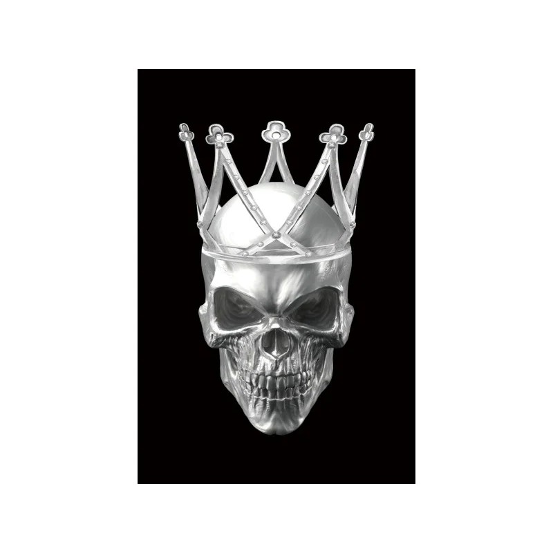 Картина на склі SKULL II 80X120 Signal