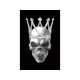 Картина на склі SKULL II 80X120 Signal