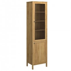 Вітрина 1W1D KLARK дуб крафт золотий VMV Holding