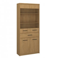 Вітрина висока 2D2W1S PAVI дуб кам'яний VMV Holding