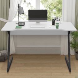 Стіл комп'ютерний Dexter DX1200 (1200х600х750Н) чорний графіт/Білий AMF