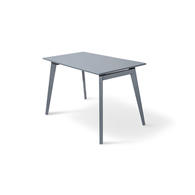 Стіл обідній Дуглас 1195*670, сірий Мікс меблі