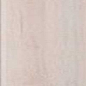 Клен світло-сірий 