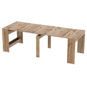 Дуб аппалачі | 207204ne 