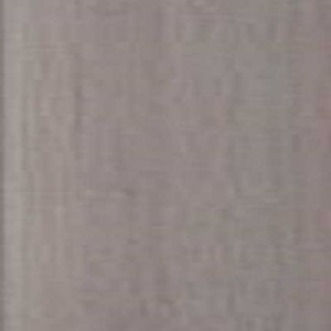 Клен темно-сірий 