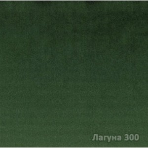 Лагуна 300 