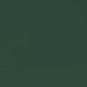 Зелений мох мат 