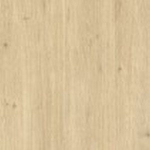 Дуб королівський 