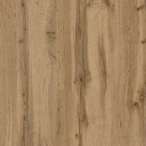 Дуб Аппалачі 