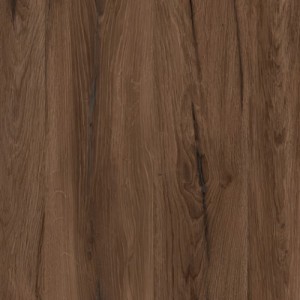 Дуб Ліворно 