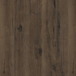 Горіх Макадамія 