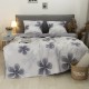 Комплект постільної білизни Viluta Двоспальний Ранфорс 24269 з простирадлом на резинці 160х200