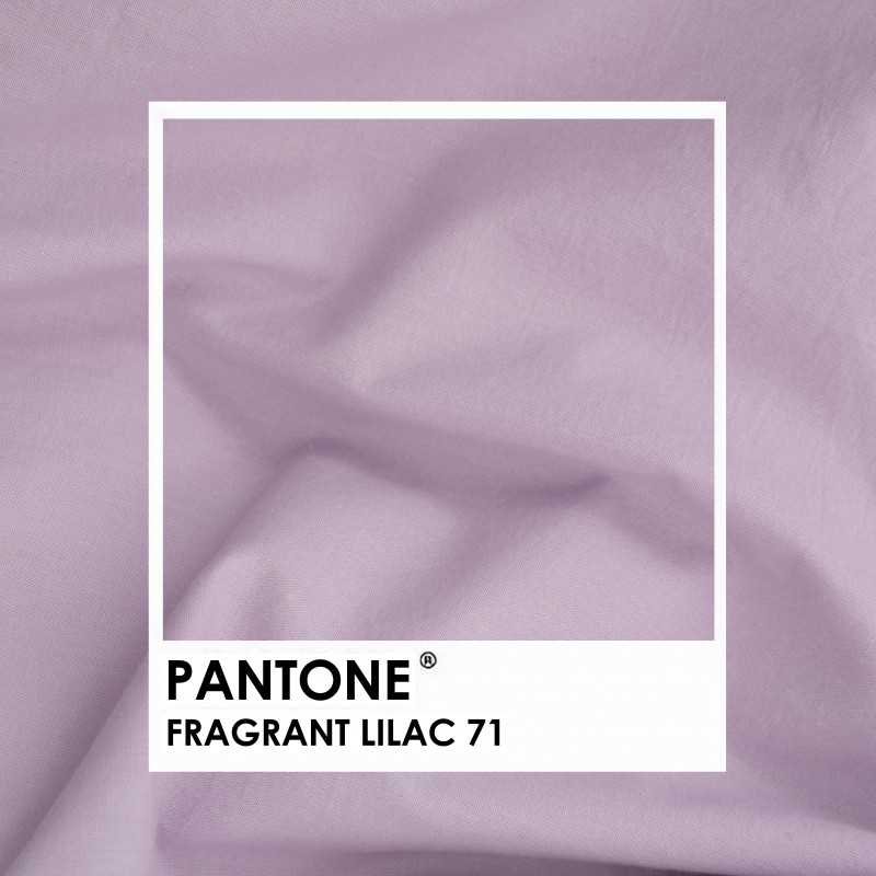 Комплект постільної білизни Viluta Двоспальний Варена бавовна Wash 71