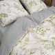 Комплект постільної білизни Viluta Полуторний Ранфорс 24326