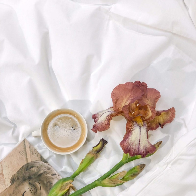 Комплект постільної білизни Вилюта Сімейний ранфорс Вибілений